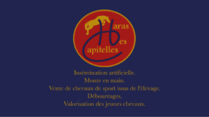 Le Haras des Capitelles (82)