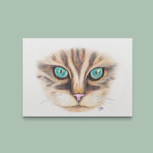dessin crayon de tête de chat